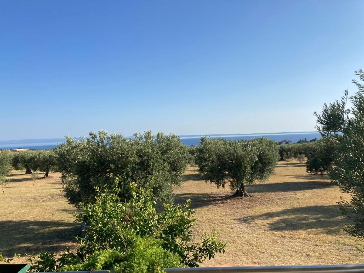 Villa Giannoula Gerakini Dış mekan fotoğraf