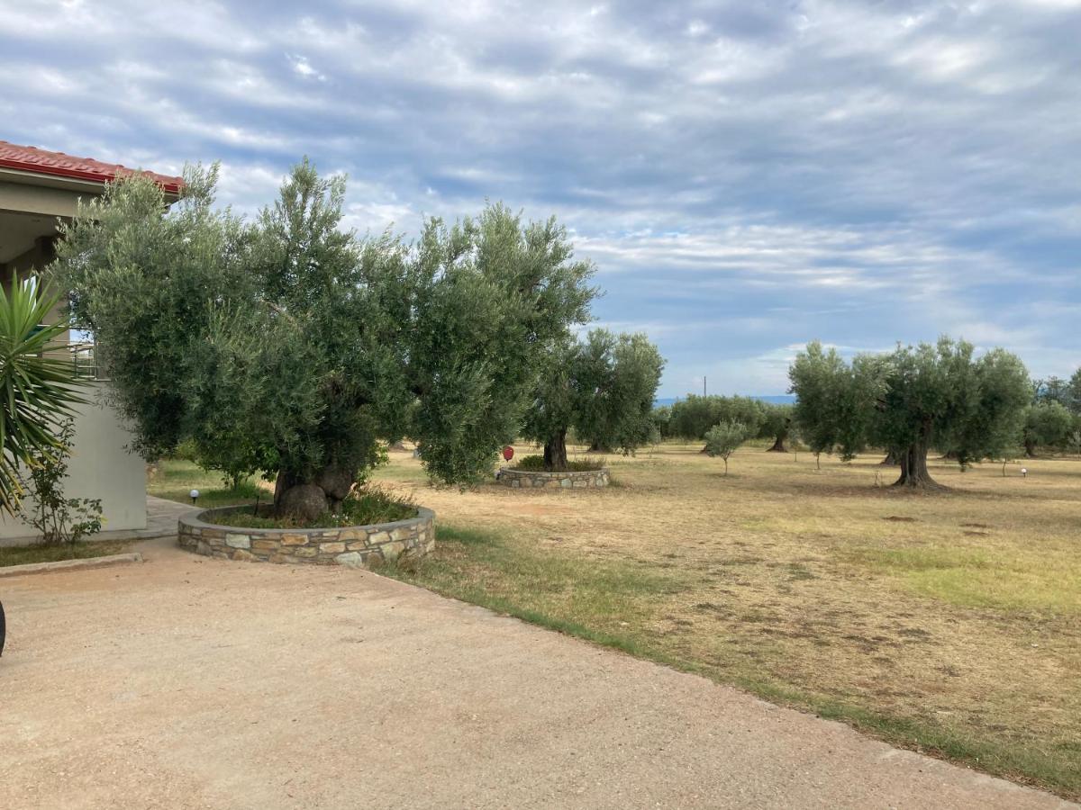 Villa Giannoula Gerakini Dış mekan fotoğraf