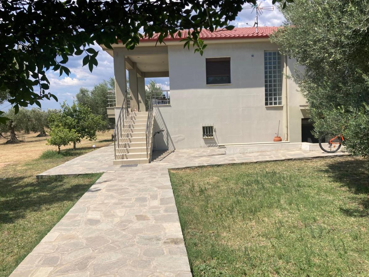 Villa Giannoula Gerakini Dış mekan fotoğraf