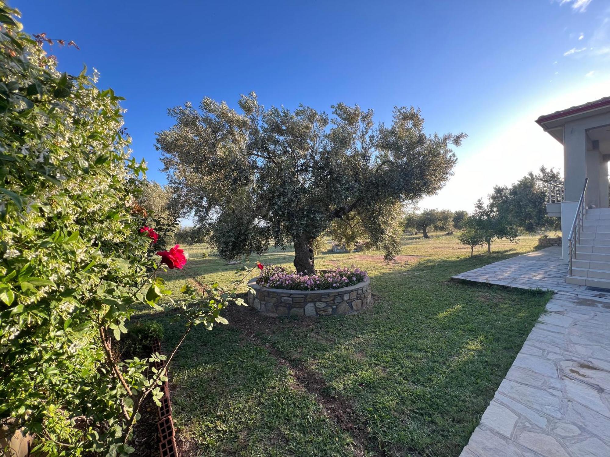 Villa Giannoula Gerakini Dış mekan fotoğraf
